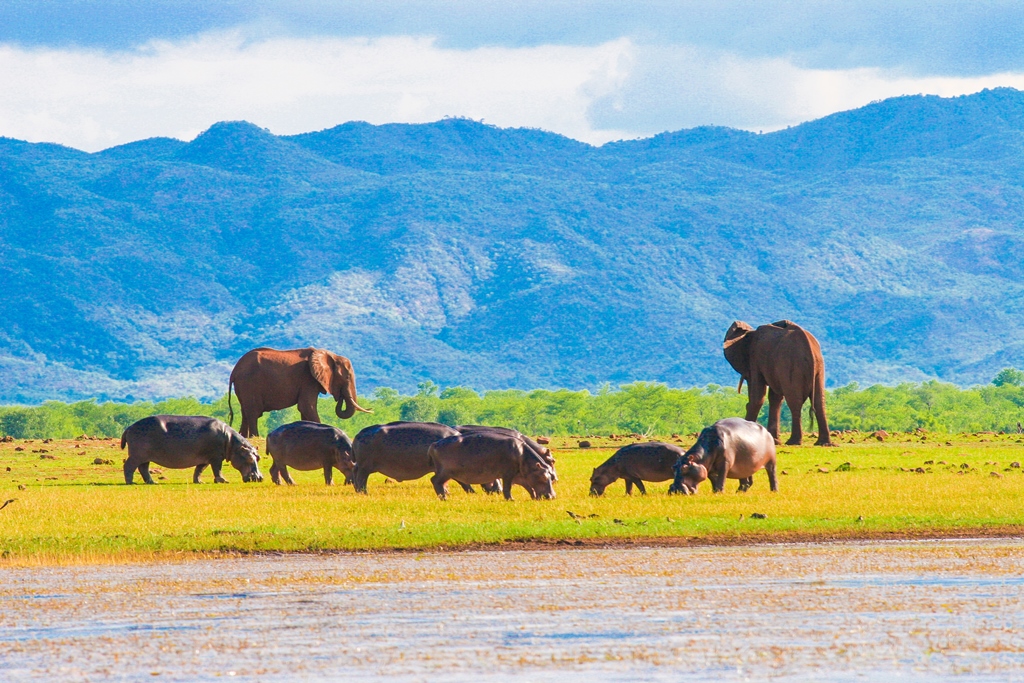 Changa Safari Camp - photo 2