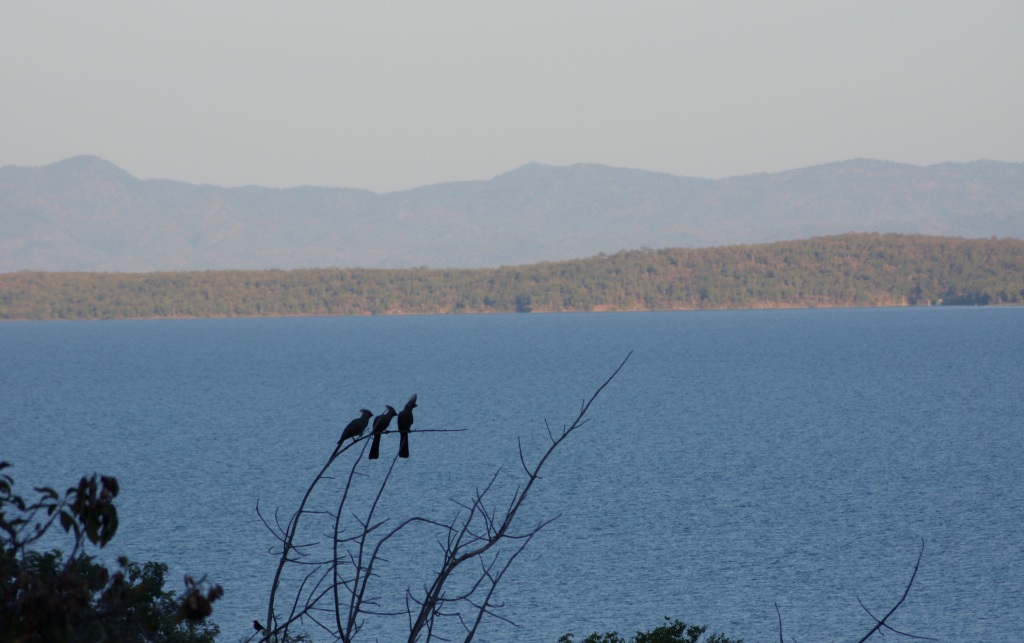 DZIMBABWE LODGE - photo 9