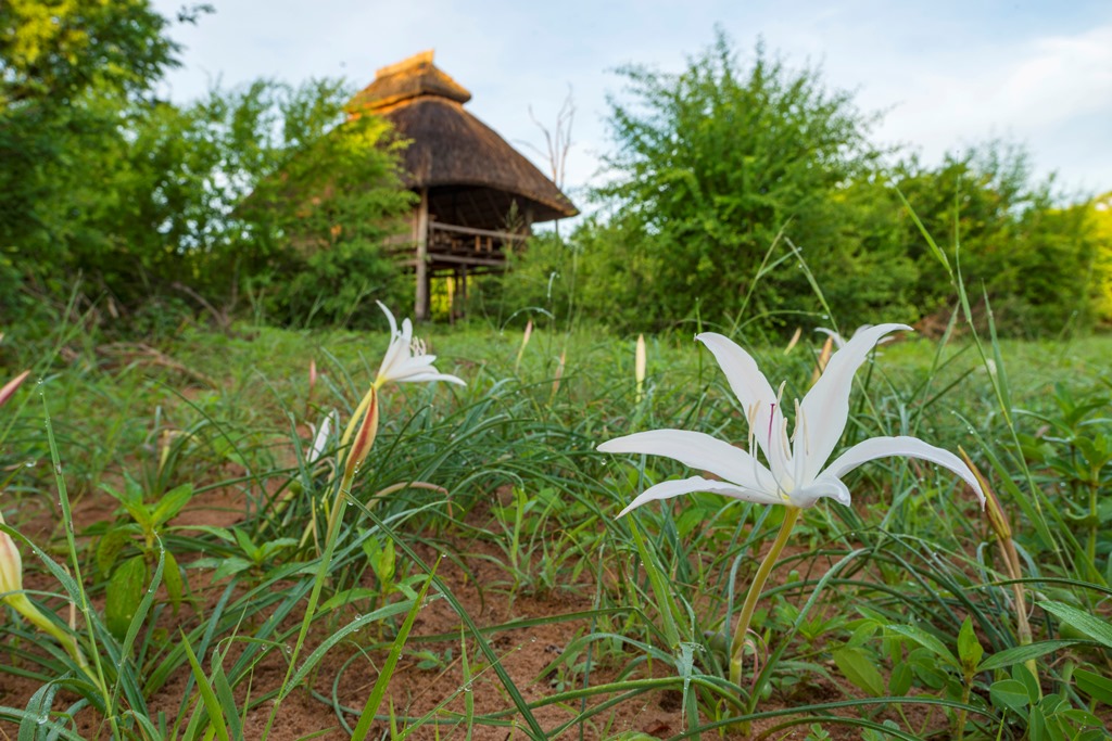 Rhino Safari Camp - photo 2
