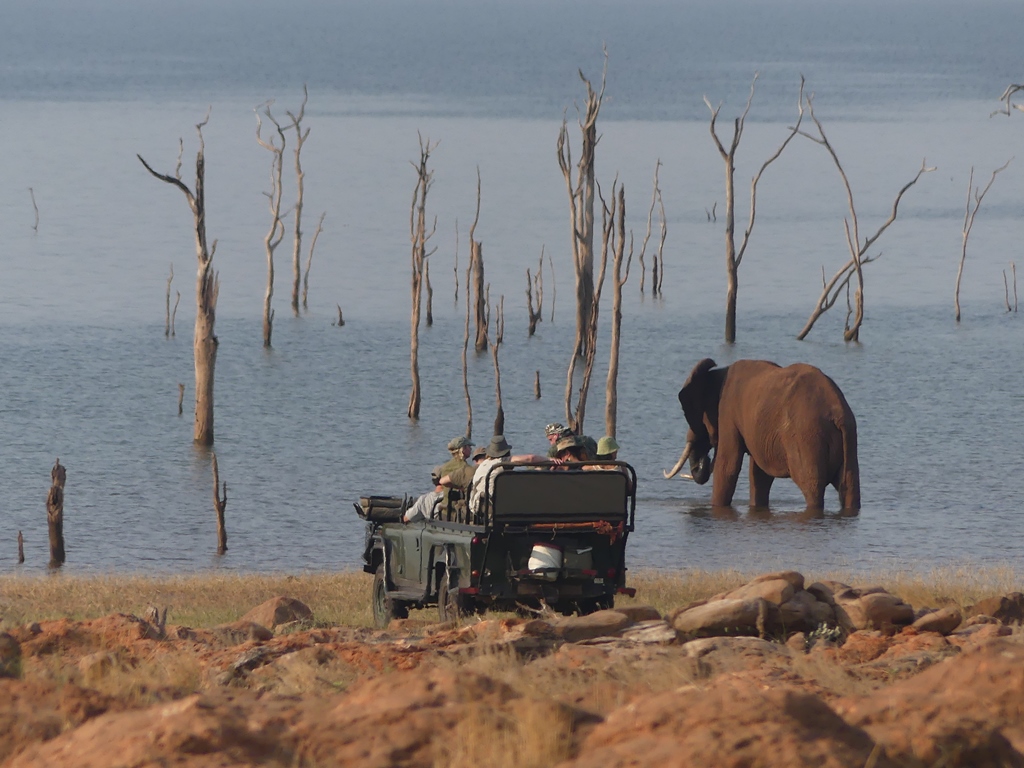 Rhino Safari Camp - photo 3