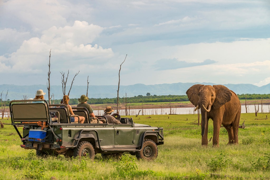 Rhino Safari Camp - photo 4