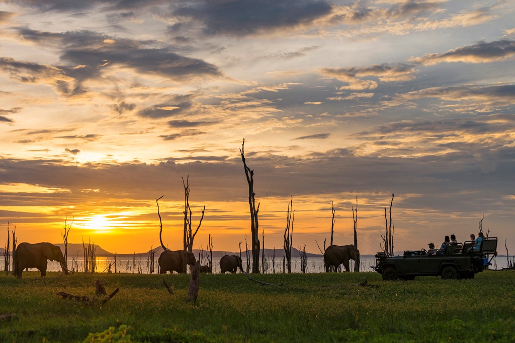 Rhino Safari Camp - photo 5