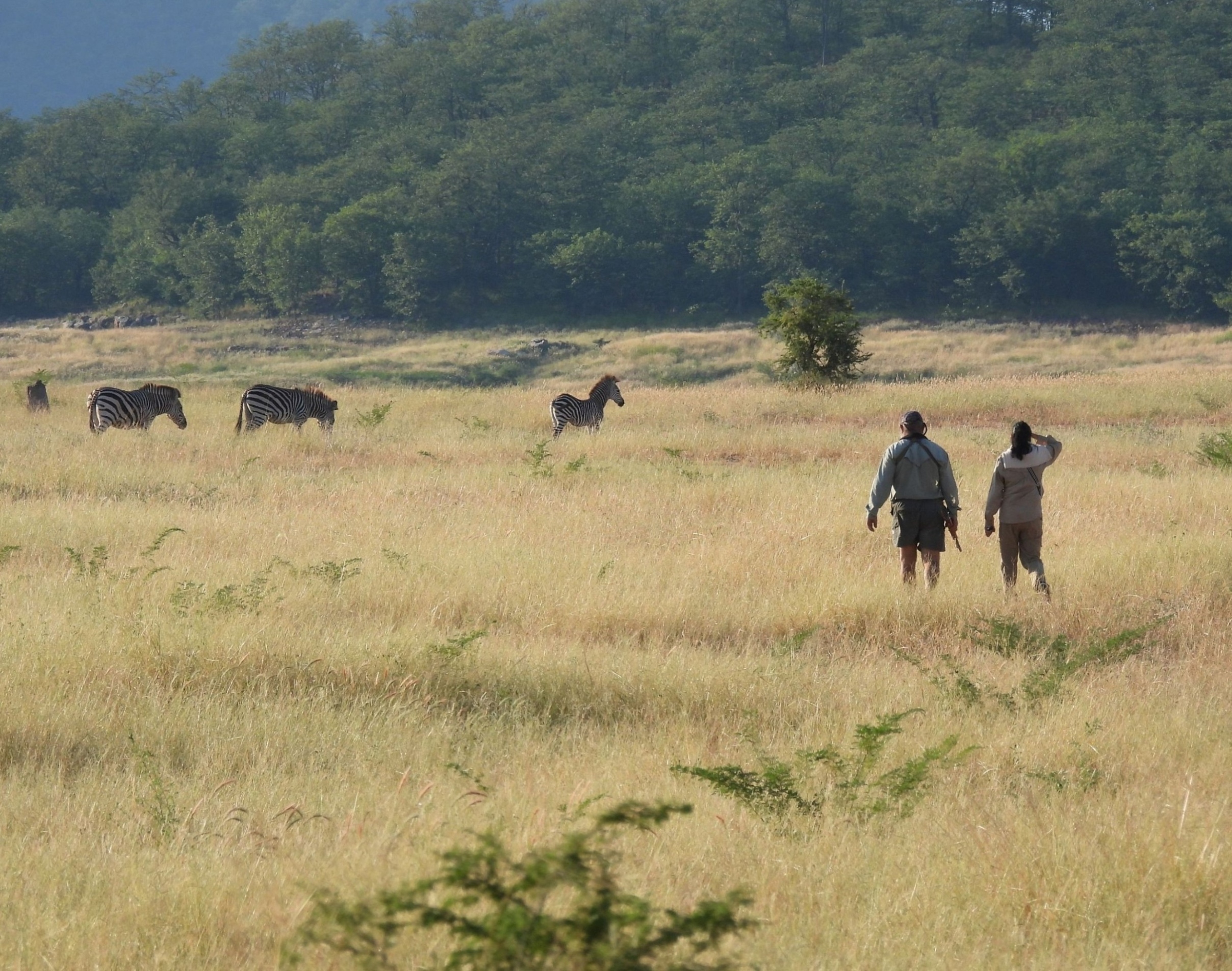 Shenga Expeditions Pvt Ltd