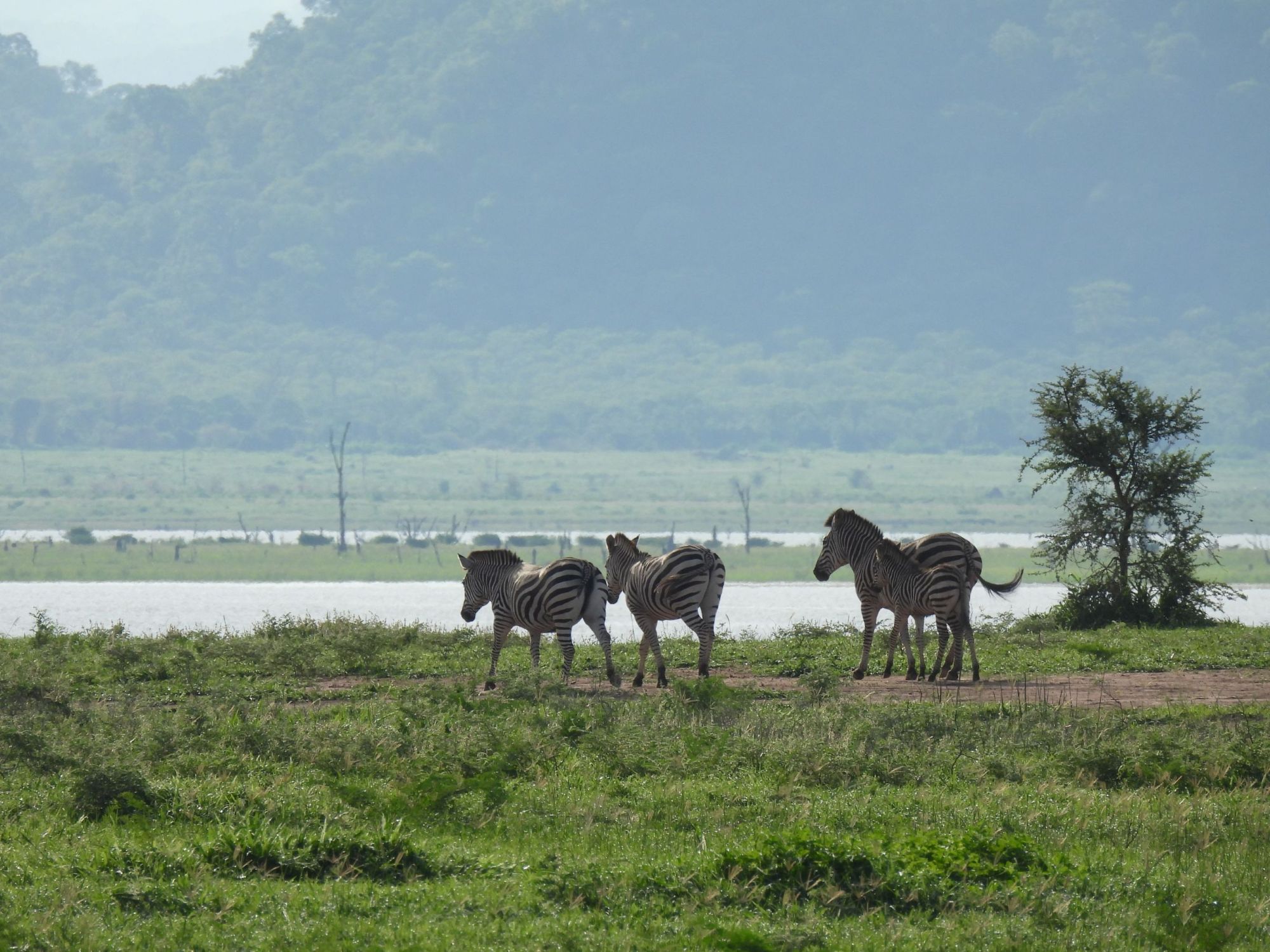 Shenga Expeditions Pvt Ltd - photo 3