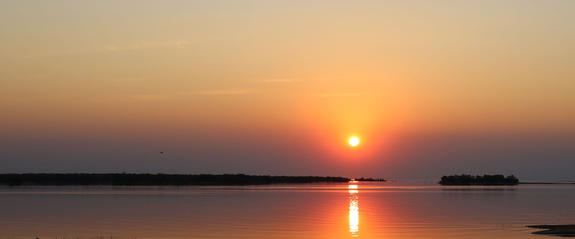 CUTTY SARK, KARIBA ROAD REPORT! 30 JUNE 2025