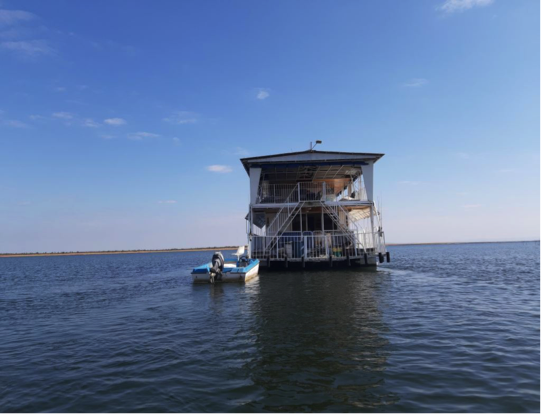 OB Joyful - photo 9