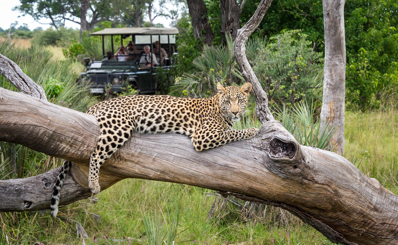 Off 2 Africa Travel - photo 7