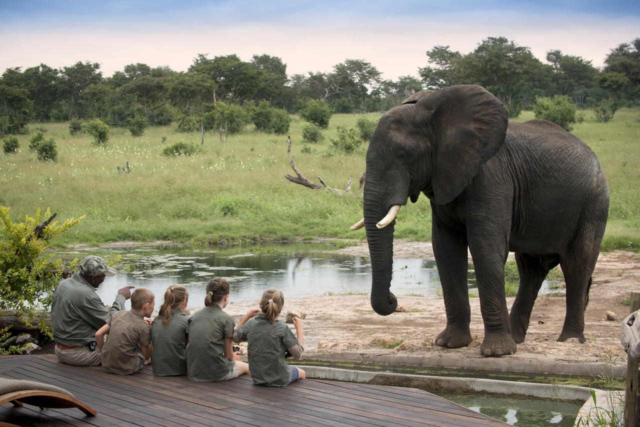 Off 2 Africa Travel - photo 8