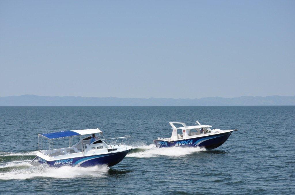 Avoca Marine & Transfers - photo 7