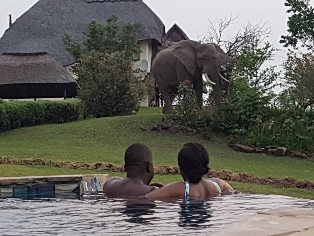 Baobab Bookings - photo 7
