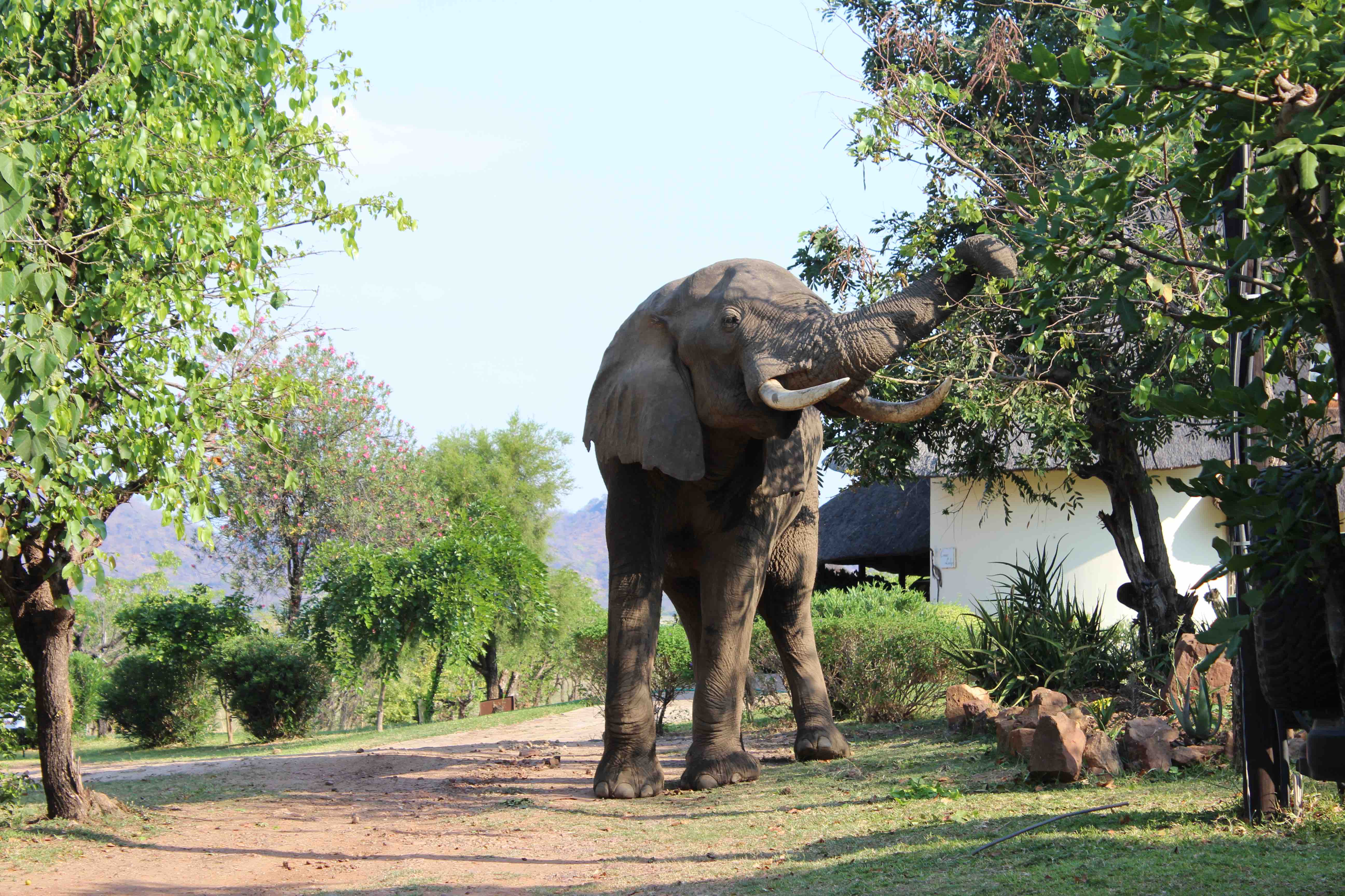 Heartveld Adventures - photo 9
