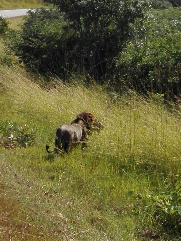 Mystic Tours & Safaris - photo 2