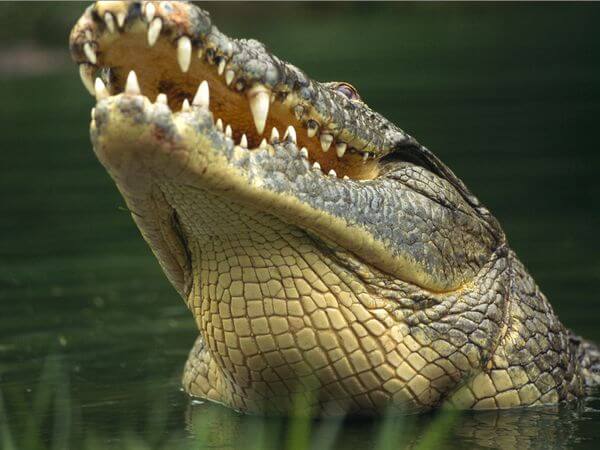 Mystic Tours & Safaris - photo 6