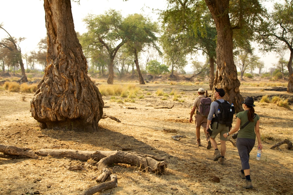 Natureways Safaris - photo 8