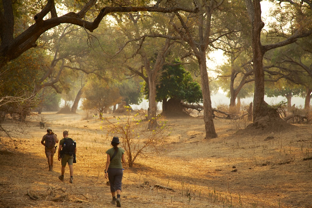 Natureways Safaris - photo 9