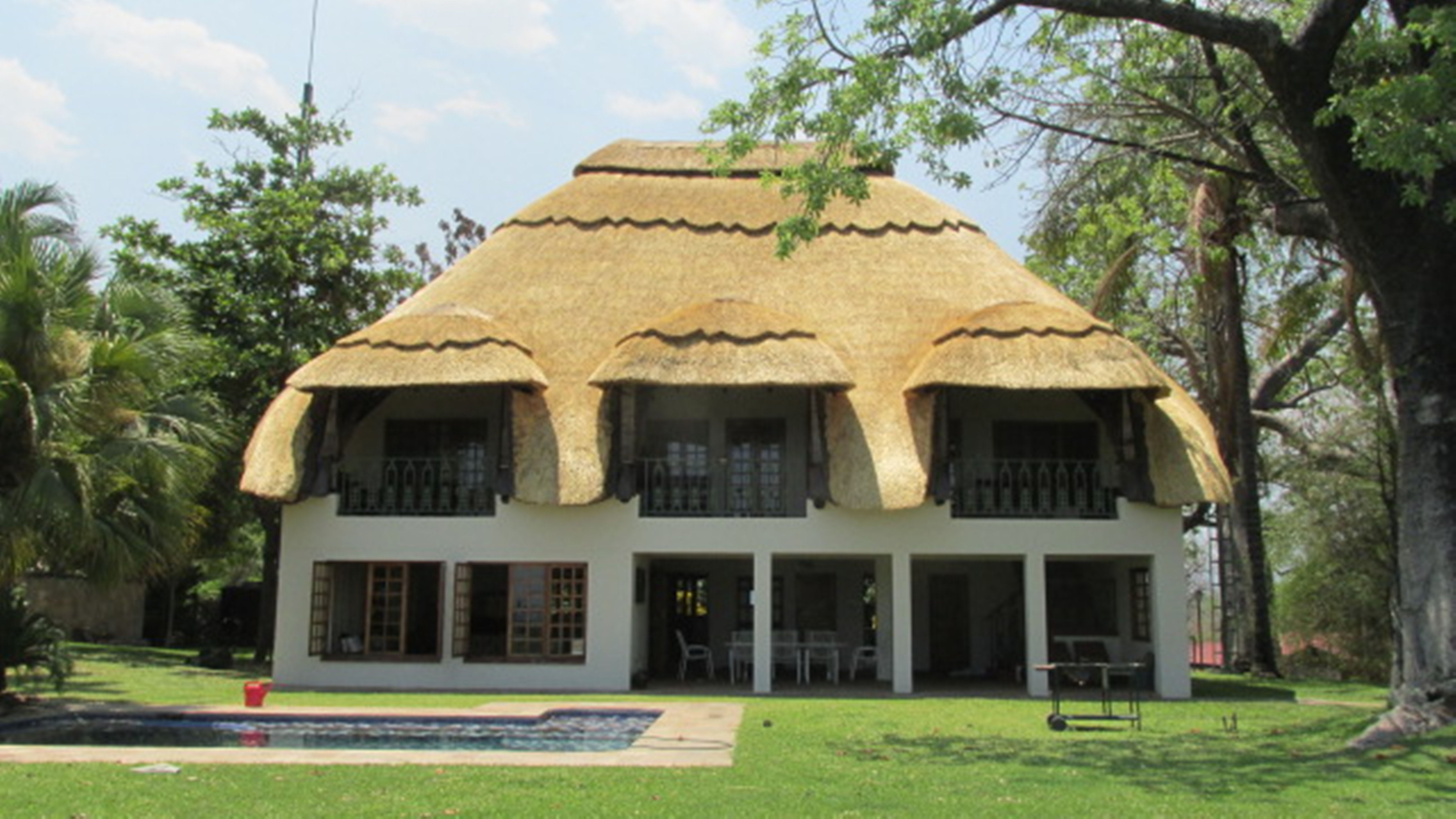 Wild Dog Tours
