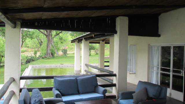 Wild Dog Tours - photo 3