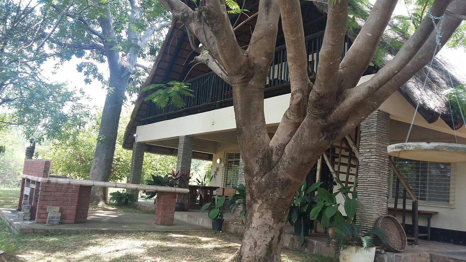 Wild Dog Tours - photo 7