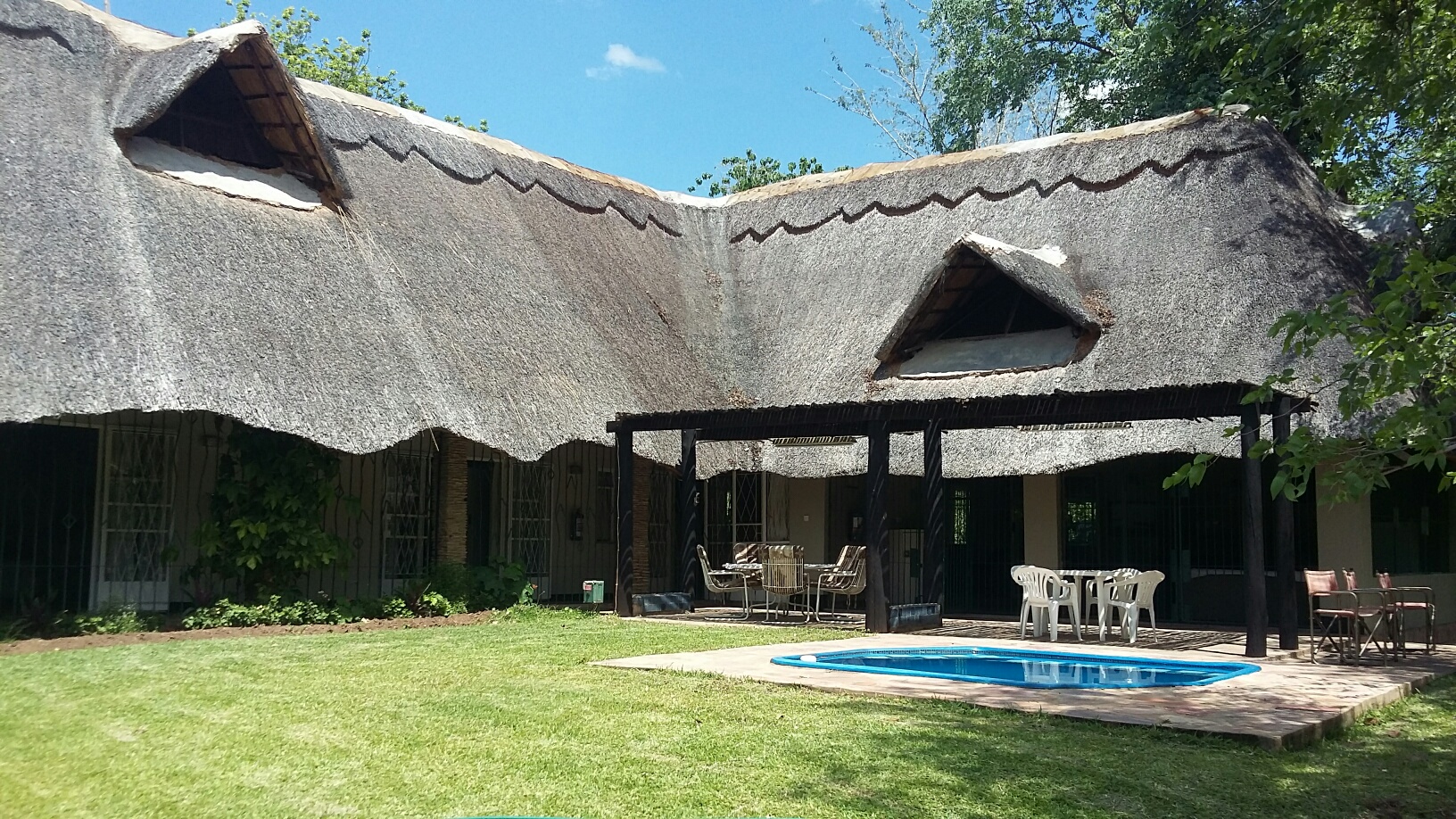Wild Dog Tours - photo 8
