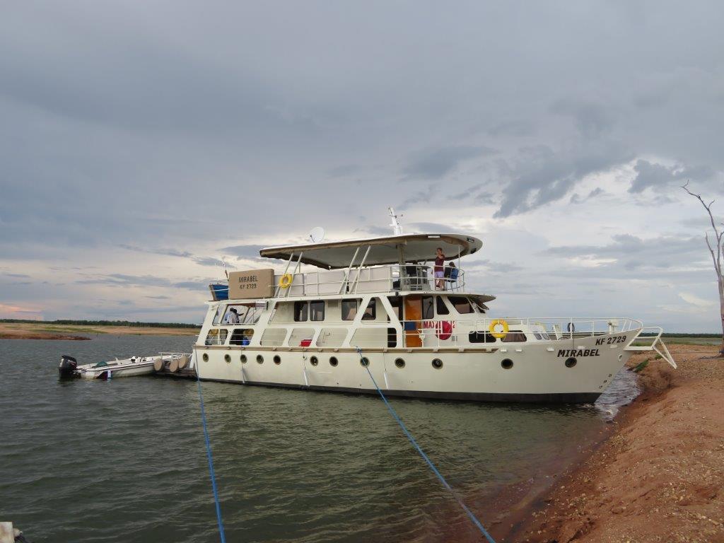 Wild Dog Tours - photo 9