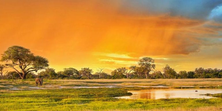 Zambezi Safari & Travel Co LTD