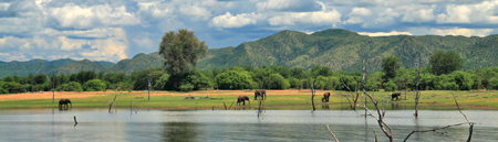 Kariba Town - Collaborating to Revive Tourism — image 4