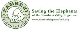 Zambezi Elephant Fund